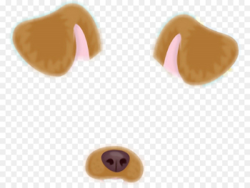 Dog paddle Animal Doge Snapchat - filter snap chat Dog paddle Animal Doge Snapchat - filter snap chat