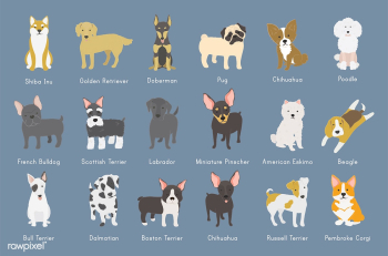 Dog pet dalmatian | Free stock vector - 60539 Dog pet dalmatian | Free stock vector - 60539