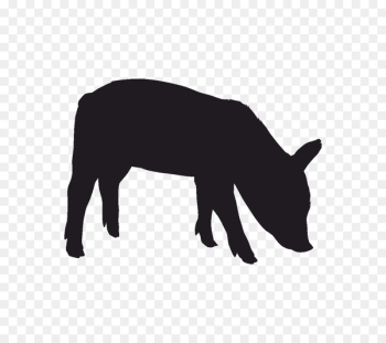 Dog Pig Lion Silhouette Leopard - dog 