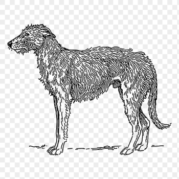 Dog png sticker, Deerhound hand | Free PNG - rawpixel