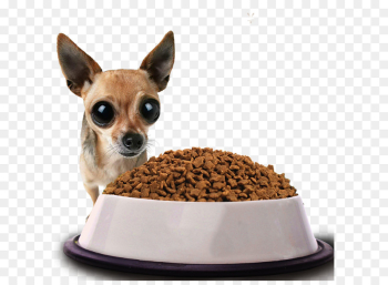 Dog Puppy Display resolution Wallpaper - Puppy eating dog food Fig ...