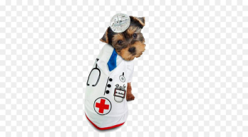 Dog Puppy Halloween costume - Pet dog doctor Dog Puppy Halloween costume - Pet dog doctor