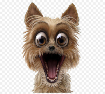 Dog Puppy Pet Surprise - Pet Puppy Dog Puppy Pet Surprise - Pet Puppy