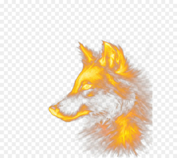 Dog Red fox - Special effects wolf Dog Red fox - Special effects wolf