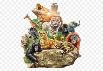 Dog Tiger Lion Animal Forest - Animals meeting Dog Tiger Lion Animal Forest - Animals meeting