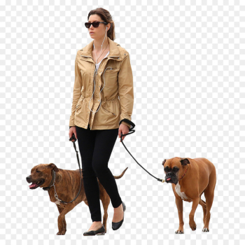 Dog walking Architectural rendering Pet sitting - Dog Dog walking Architectural rendering Pet sitting - Dog