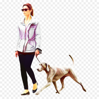 Dog Walking, Labrador Retriever, Architecture, Canidae PNG Dog Walking, Labrador Retriever, Architecture, Canidae PNG