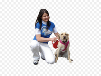 Dog walking Puppy Pet sitting - people Dog walking Puppy Pet sitting - people
