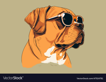 dog wearing sunglasses