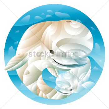 Dolphin and baby dolphin Dolphin and baby dolphin