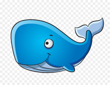 Dolphin Blue whale Drawing Humpback whale - whale Dolphin Blue whale Drawing Humpback whale - whale
