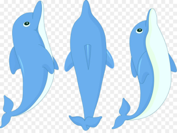 Dolphin Cartoon Clip art - Cartoon dolphin Dolphin Cartoon Clip art - Cartoon dolphin