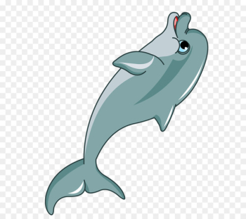 Dolphin Cartoon Clip art - dolphin Dolphin Cartoon Clip art - dolphin
