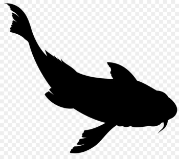 Dolphin Clip art Fauna Silhouette Beak -  