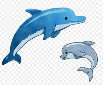 dolphin common bottlenose dolphin bottlenose dolphin short-beaked common dolphin fin
