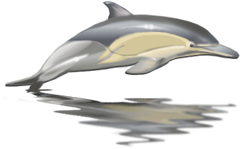 dolphin jumping clipart - /animals/aquatic/dolphin/dolphins_2 ...