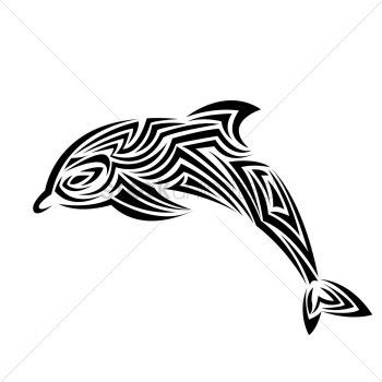 Dolphin tattoo Dolphin tattoo