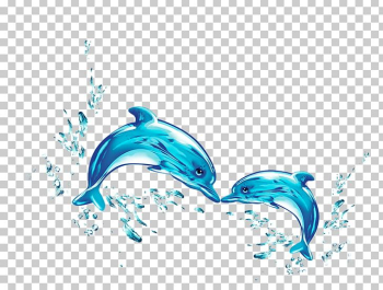 Dolphin Water PNG, Clipart, Animals, Aqua, Aquatic Animal, Azure ...