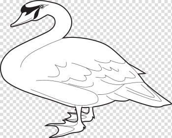 Domestic goose Cygnini Bird , White Goose transparent background PNG clipart Domestic goose Cygnini Bird , White Goose transparent background PNG clipart