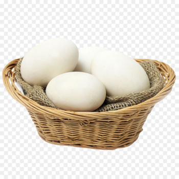 Domestic goose Egg Basket - A basket of goose eggs 