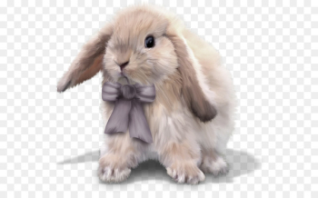 Domestic rabbit Easter Bunny European rabbit Leporids - rabbit 
