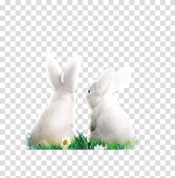 Domestic rabbit Easter Bunny White Rabbit, White rabbit decoration pattern transparent background PNG clipart