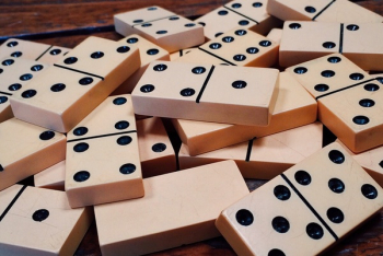 Domino Piece Lot Domino Piece Lot