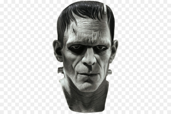 Don Post Frankenstein's monster Halloween costume - mask Don Post Frankenstein's monster Halloween costume - mask