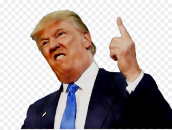 Donald Trump United States of America President of the United States Criticizing Trump -  