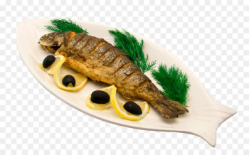 Doner kebab Shashlik Iranian cuisine Fish Mangal - fried fish 