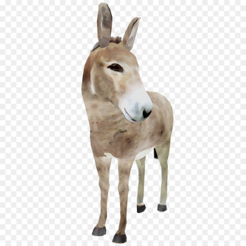 Donkey Pack animal Fauna Fur Terrestrial animal -  