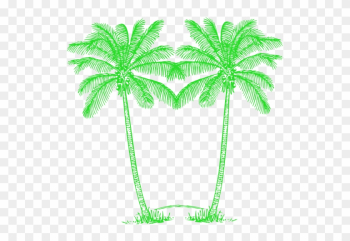 Double Green Palm Tree Image - Green Palm Tree Png