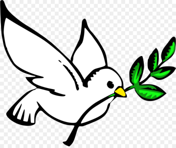 Doves As Symbols, Peace, Pigeons And Doves, Bird, Beak PNG Doves As Symbols, Peace, Pigeons And Doves, Bird, Beak PNG