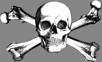 Download And Bones Drawing Skull Crossbones Free Download PNG HQ ...
