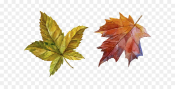 Download Autumn - Hand-painted autumn leaves Download Autumn - Hand-painted autumn leaves