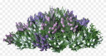 Download Bush Free Png Photo Images And Clipart - Flower Bush Png