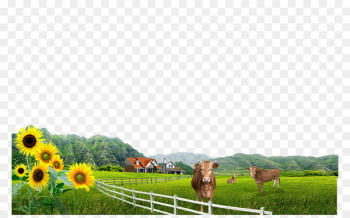 Download Computer file - farm 