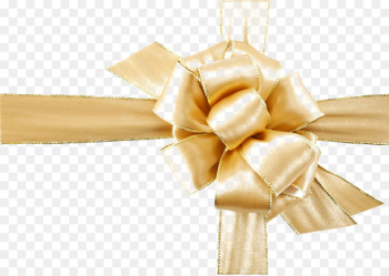Download Computer file - Ribbon 