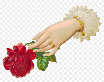 Download File - Hand With Rose Png