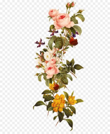 Download Flower - Beautiful flowers Download Flower - Beautiful flowers