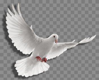 Download Free png Holy spirit dove png photo# - DLPNG.com