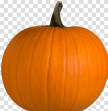 Download Free png Pumpkin PNG image, Download PNG image with ...