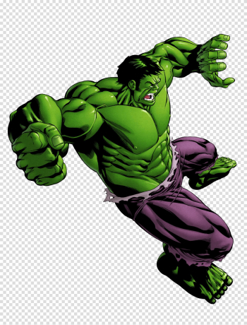 Download Hulk Captain She-Hulk America Hogan Download HD PNG ...