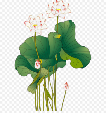 Download Ink wash painting - Color Ink Chinese style lotus Download Ink wash painting - Color Ink Chinese style lotus