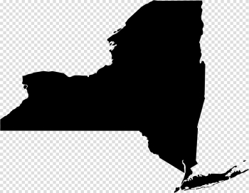 Download New York Aerial Drone Services - New York Republican ...