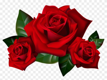 Download Original Resolution Free Red Rose Clipart - Rose Transparent