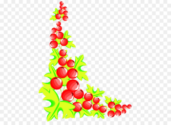 Download, Photography, Stock Photography, Plant, Flower PNG Download, Photography, Stock Photography, Plant, Flower PNG