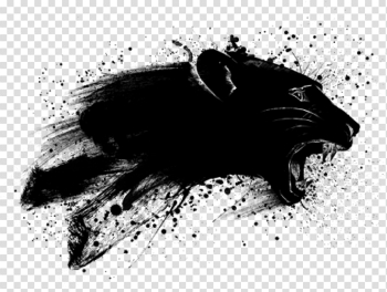 Download Picsart Splash Effect Png - Black And White Splash Effect ...