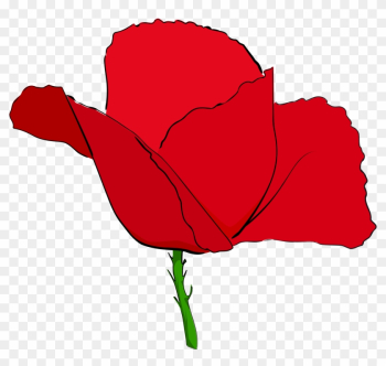 Download - Red Image Of Poppy Flower