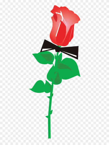 Download - - Red Rose Download - - Red Rose